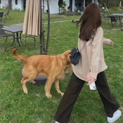和歌子酒 第4季