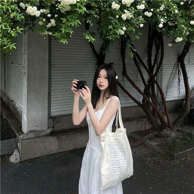 风流总统